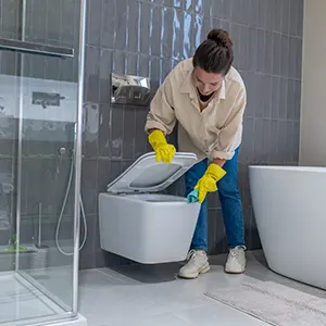 Bathroom Cleaning